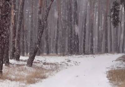 Зимняя сказка продолжится: 2 декабря украинцев порадует снег, но повезет не всем – прогноз синоптиков