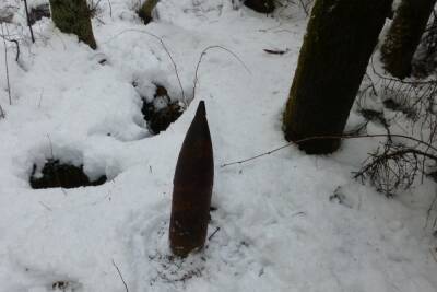 В Смоленской области найден и уничтожен боеприпас большого калибра