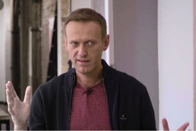 Навальный выплатил штраф в 850 тысяч рублей за клевету на ветерана