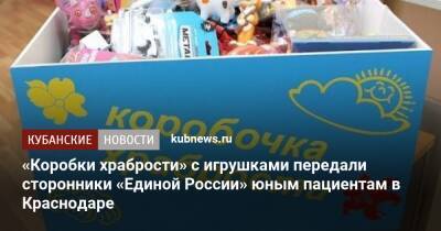 «Коробки храбрости» с игрушками передали сторонники «Единой России» юным пациентам в Краснодаре