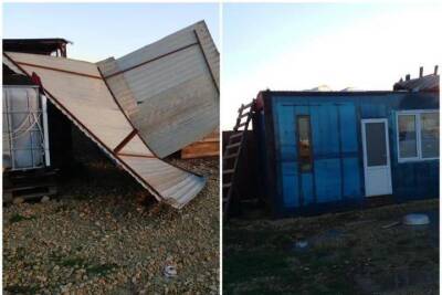 Из-за сильного ветра в Анапе пострадал собачий приют