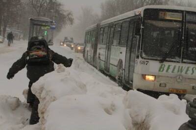 Сильный снег снова обрушится на Псковскую область днем 2 декабря