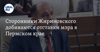 Сторонники Жириновского добиваются отставки мэра в Пермском крае