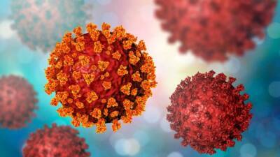 ВОЗ бьет тревогу в связи с распространением нового штамма коронавируса