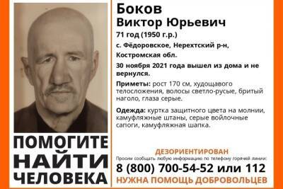Костромские поисковики разыскивают пенсионера, пропавшего в Нерехтском районе