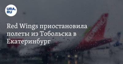 Red Wings приостановила полеты из Тобольска в Екатеринбург