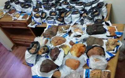 Спрятал под умывальником: в поезде Киев-Вена обнаружили 50 кг янтаря