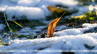 Мокрый снег и гололедица прогнозируются в Беларуси 3 декабря