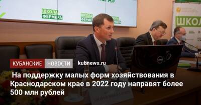 На поддержку малых форм хозяйствования в Краснодарском крае в 2022 году направят более 500 млн рублей