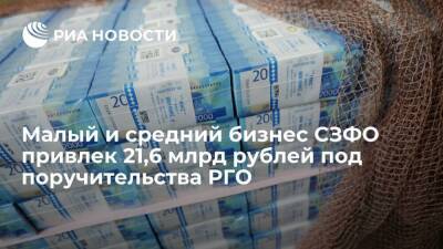 Малый и средний бизнес СЗФО привлек 21,6 млрд рублей под поручительства РГО