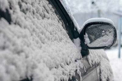 Последствия снежного коллапса на Московском шоссе оценят петербургские следователи