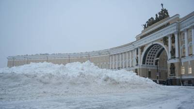 Иронические ролики о заваленном снегом Петербурге «разорвали» тренды TikTok