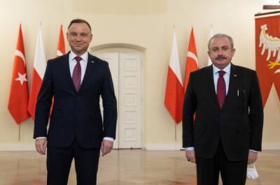 Турция поддержала Польшу в конфликте с Белоруссией из-за мигрантов