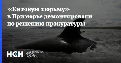 «Китовую тюрьму» в Приморье демонтировали по решению прокуратуры