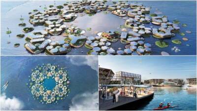 Через четыре года собираются построить первый в мире плавучий город