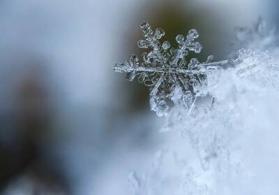 Завтра в Рязанской области ожидается небольшой снег