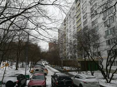 Первый день зимы оказался самым снежным в Москве за последние пять лет