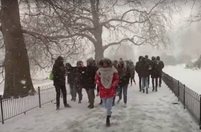 Киев засыпет снегом, будет валить целый день: когда в столицу нагрянет буря