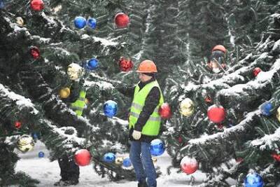 В новогодней столице России отказались от живых елок