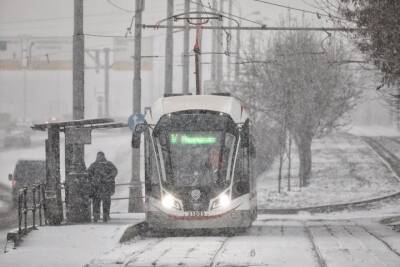 Первый зимний день в Москве стал самым снежным за последние пять лет
