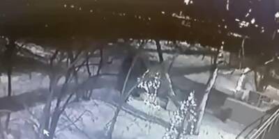 В Чите за месяц до Нового года у администрации украли наряженную елку