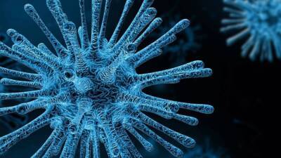 Новый штамм коронавируса «Омикрон» выявили в Исландии