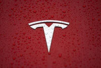 Акции Tesla стали защитными?