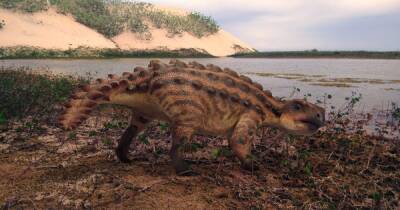 Во всеоружии. Палеонтологи нашли новый вид динозавра с "дубинкой" вместо хвоста (фото)