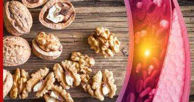 Как снизить уровень холестерина: о пользе популярного ореха рассказали ученые