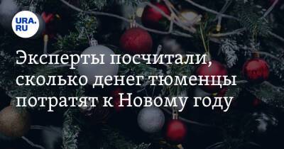 Эксперты посчитали, сколько денег тюменцы потратят к Новому году