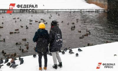 Чем можно кормить петербургских птиц с наступлением зимы: мнение эксперта
