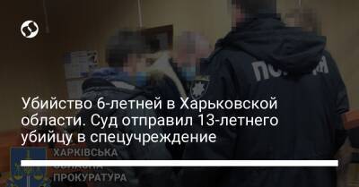 Убийство 6-летней в Харьковской области. Суд отправил 13-летнего убийцу в спецучреждение