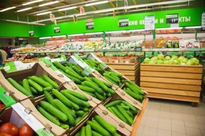 В Волгоградской области за неделю упали цены на помидоры и огурцы