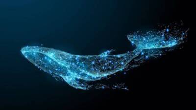 Трансферы биткойн-китов размером с монстра: парсер блокчейна улавливает значительные количества “ холодных биткойнов '', перемещенных на активные биржи