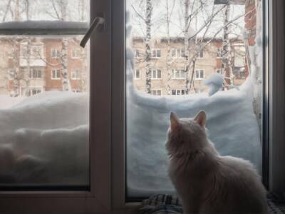 В Якутии более 78 тыс. человек остались без электроэнергии при температуре -50 °С