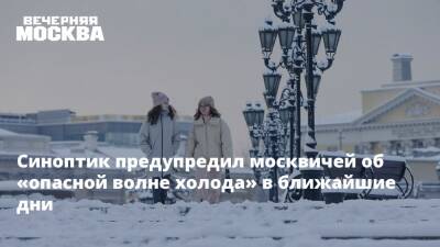 Синоптик предупредил москвичей об «опасной волне холода» в ближайшие дни
