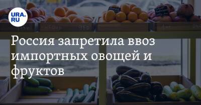 Россия запретила ввоз импортных овощей и фруктов