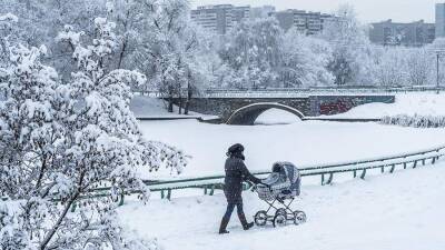 Синоптики рассказали о погоде в Москве 20 декабря