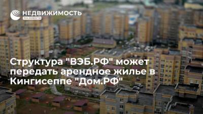Структура "ВЭБ.РФ" может передать арендное жилье в Кингисеппе "Дом.РФ"