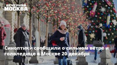 Синоптики сообщили о сильном ветре и гололедице в Москве 20 декабря