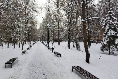 20 декабря в Саратовской области будет последний теплый день перед похолоданием