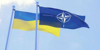 На Украине обнаружили юридическое препятствие для вступления в НАТО