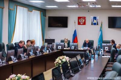 Сахалинские депутаты перечислили, кого нужно проверить в 2022 году