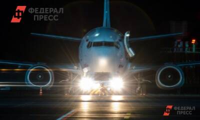 Несколько самолетов не смогли сесть в Кольцово из-за ночной метели