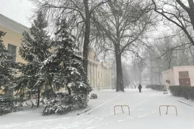 20 декабря в Рязанской области ожидается снегопад и до -9 градусов