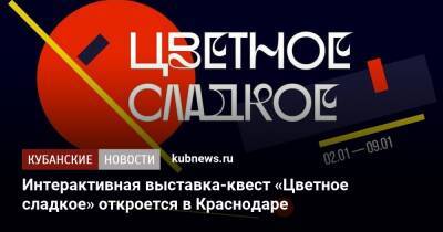 Интерактивная выставка-квест «Цветное сладкое» откроется в Краснодаре
