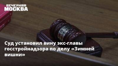 Суд установил вину экс-главы госстройнадзора по делу «Зимней вишни»
