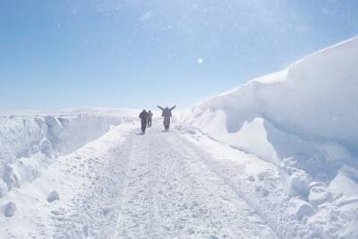 Жителей северной части Кольского полуострова предупреждают о сильном снегопаде