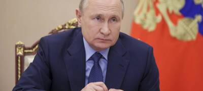 Путин объяснил, почему не может выступить против QR-кодов