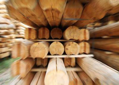 Экспорт леса и пиломатериалов из России вырос до рекордных $12,5 млрд
